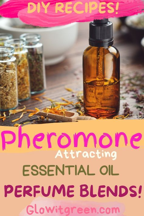 Make DIY perfume blends with attraction properties at Glowitgreen.com! Pheromones, the mystical chemical compounds in our bodies that signal attraction, can be mimicked by certain essential oils and mixed into recipes to inspire love, attraction, and warmth! Click for more information about pheromone scents, and be inspired by these blend recipes to create your love potions! Love Potion Essential Oil Blend, Pheromone Oil Recipe, Self Love Oil Recipe, Pheromone Essential Oil Blend, How To Make Pheromone Oil, Pheromone Perfume Diy, Jasmine Essential Oil Blends, Love Potion Recipe, Natural Perfume Recipes