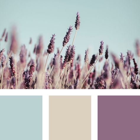 Soft purple and blue colour palette idea for nursery room Purple And Blue Boho Bedroom, Muted Color Palette Purple, Purple Nursery Color Palette, Lilac And Brown Bedroom, Nursery Room Color Palette, Purple Calm Aesthetic, Light Blue And Purple Room, Purple And Blue Nursery, Baby Girl Nursery Colors Palette