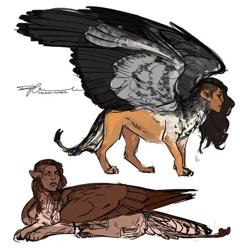 Sphinx Mythology, Humanoid Creatures, Creature Feature, Mythological Creatures, Mystical Creatures, An Animal, Creature Design, Creature Art, Original Artists