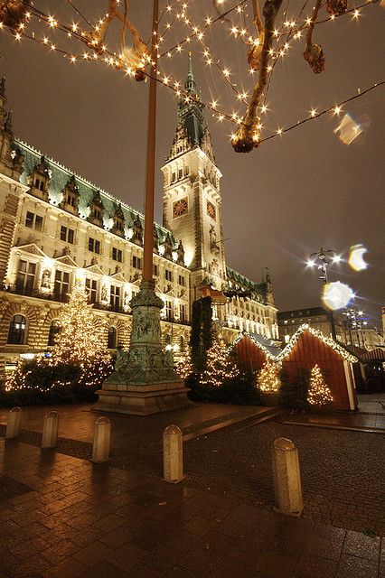 Christmas in Hamburg, Germany. I just got back on 12/13/14 and this was amazing Hamburg Christmas, Night Scape, Place Photography, Christmas In, Germany Hamburg, Christmas In Germany, Germany Christmas, Sparkling Christmas, German Christmas Markets