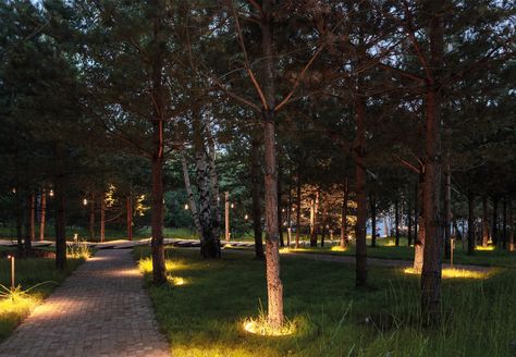 projects | Viabizzuno progettiamo la luce Park Lighting, Urban Tree, Forest Light, Urban Lighting, Fence Lighting, Night Scenery, Outdoor Playground, Light Project, Tree Lighting