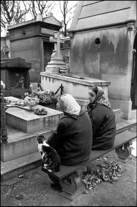 cat part of family She And Her Cat, Ian Berry, Père Lachaise Cemetery, Pere Lachaise Cemetery, Parisian Women, Old Cemeteries, Cemetery Art, Image Chat, Angel Cat