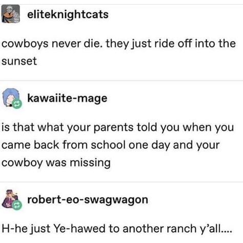 Cowboy Tumblr, Cowboys Memes, Gay Cowboy, Cowboy Stuff, Cowboy Aesthetic, Cowboy Baby, Funny Tumblr Posts, Red Dead Redemption, Saying Goodbye