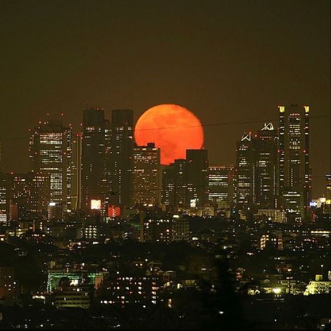 City Scape Aesthetic, Apartment View Aesthetic, Orange Moon Aesthetic, Sunset Aesthetic City, City Night Landscape, Met Gala Aesthetic, Gala Aesthetic, City Lights Aesthetic, Aesthetic Los Angeles