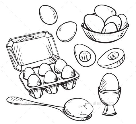 Set of Eggs Drawings Drawing Book Pdf, Whale Crafts, Recipe Drawing, Food Sketch, Hand Drawn Vector Illustrations, Drawing Book, Cartoon Drawing, Hand Drawn Vector, Drawing Set