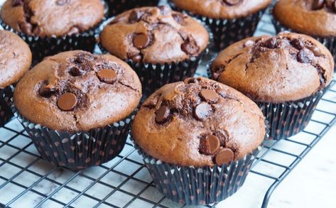 Choc Chip Cupcakes Recipes, Choc Chip Cupcakes, Choc Chip Muffins Recipe, Eggless Chocolate Chip Muffins, Nigella Recipes, Choc Muffins, Choc Chip Muffins, Mini Chocolate Chip Muffins, Double Chocolate Muffins