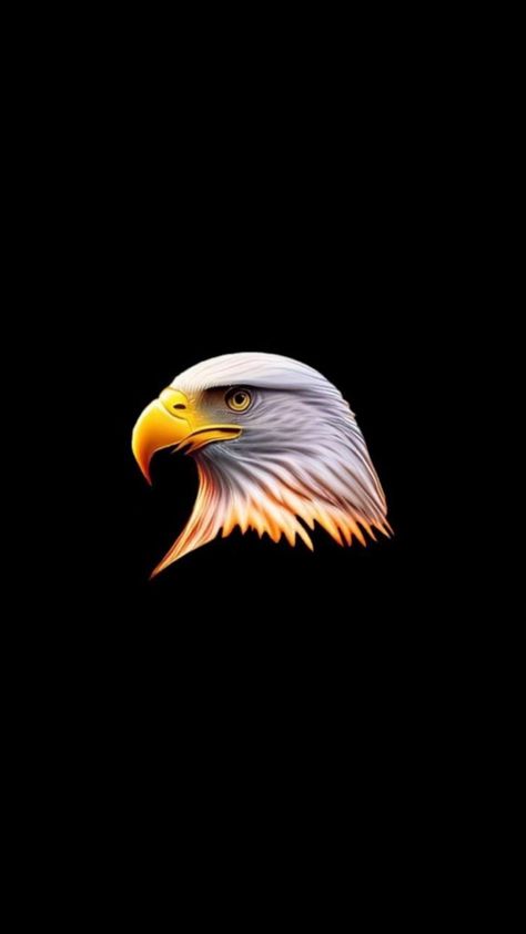 Diamond Wallpaper Iphone, Angel Gif, Iphone Png, African Lovebirds, Childhood Memories Art, Best Flower Pictures, Wild Animal Wallpaper, Emoji Iphone, Eagle Images