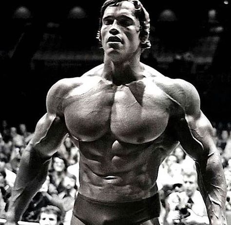 Arnold Schwarzenegger The Austrian Oak" 7X Mr. Olympia #arnoldschwarzenegger #austrianoak #goldenaesthetics #mrolympia #arnoldschwarzenegger #goldenera #themeccaofbodybuilding #bodybuilding #musclenation #goldeneraofbodybuilding #goldsgymvenice #classicbodybuilding #bodybuilder #musclebeach #oldschoolbodybuilding #gym #pumpingiron #flex #musclebeach Arnold Schwarzenegger Quotes, Arnold Schwarzenegger Bodybuilding, Shoulders Workout, Schwarzenegger Bodybuilding, Gym Images, Mr Olympia, Popular Workouts, Gym Memes, Body Builder