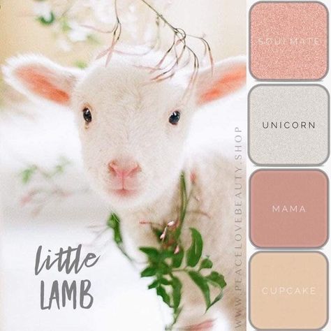 Lamb Cupcakes, Diy Eyeshadow, Beauty Eyeshadow, Maskcara Beauty, Spring Makeup, Purim, Easter Treats, Makeup Palette, Eyeshadow Looks