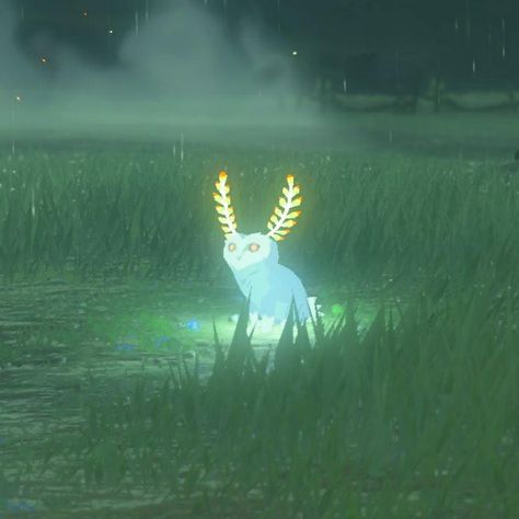 Legend Of Zelda Widgets, Legend Of Zelda Screenshots, Zelda Core Aesthetic, Zelda Astethic, Tears Of The Kingdom Aesthetic, The Legend Of Zelda Aesthetic, Totk Screenshots, Breath Of The Wild Aesthetic, Princess Zelda Aesthetic