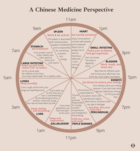 Should You Eat Breakfast?: Traditional Chinese Medicine's Perspective - Organic Olivia » Organic Olivia Tcm Traditional Chinese Medicine Liver, Ancient Chinese Medicine, Warming Foods Chinese Medicine, Chinese Breakfast Traditional, Chinese Medicine Recipes, Chinese Medicine Diet, Organic Olivia, Chinese Traditional Medicine, Tcm Traditional Chinese Medicine