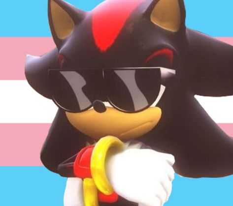 Trans Shadow The Hedgehog, Sonic Pride Icons, Trans Sonic, Silly Sonic, Hedgehog Meme, Sonic Core, Paul Anka, Pfp Gif, Pride Icons