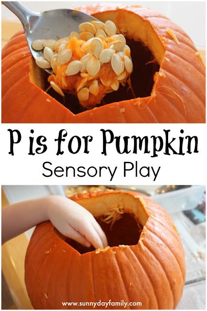 Pumpkin sensory play! Exploring pumpkins inside and out is an amazing sensory experience for toddlers & preschoolers. Halloween Games For Toddlers, Pumpkin Sensory, Inside Of A Pumpkin, Pumpkin Lessons, Kids Sensory Activities, Pumpkin Science, Fall Sensory, Activity For Preschoolers, Preschool Fall