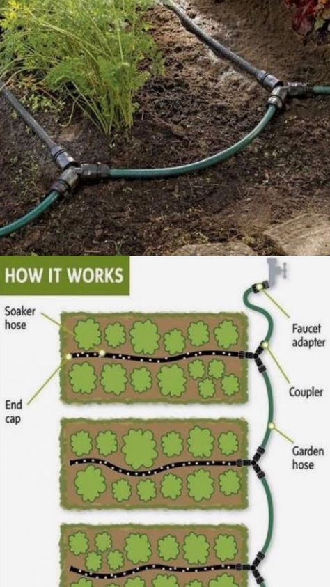 Fruit And Vegetable Garden, Irrigation System Diy, Irrigation Diy, Garden Watering System, Garden Irrigation System, Water Irrigation, Living In Arizona, Garden Wallpaper, Water System