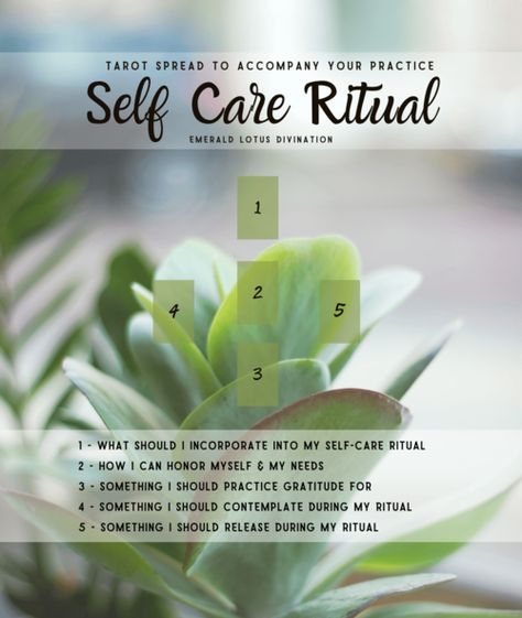 Self Care Tarot, Walks In Nature, Oracle Card Spreads, Nature Yoga, Tarot Reading Spreads, Learning Tarot Cards, Tarot Guide, Tarot Card Spreads, Tarot Tips