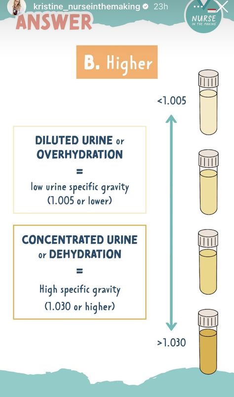 Urinary Nursing Notes, Urinary System Notes, Urine Formation Flow Chart, Nursing Nutrition, Urine Specific Gravity Nursing, Urine Analysis, Flight Medic, Urinalysis Cheat Sheet, Med Notes