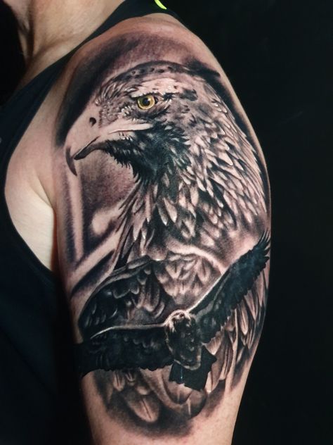 Wedgetail eagle Wedge Tailed Eagle Tattoo Design, Wedgetail Eagle Tattoo, Wedge Tailed Eagle Tattoo, Wedgetail Eagle, Bald Eagle Tattoos, Harry Tattoos, Wedge Tailed Eagle, Hawk Tattoo, Eagle Pictures