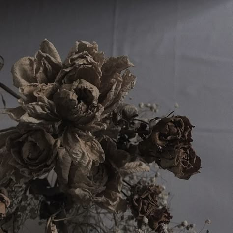 Corpse Flower Aesthetic, Rotten Flowers Aesthetic, Withering Flower Aesthetic, Decay Core, Decayed Flowers, Rotten Flowers, Decay Aesthetic, Withering Flower, Wilting Flowers