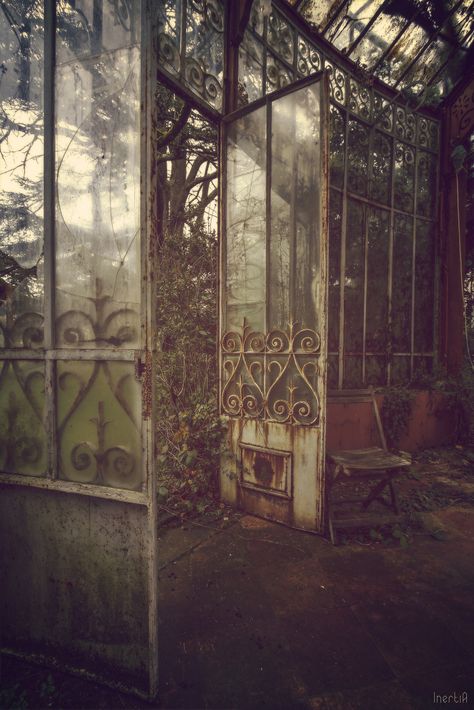 Victorian Conservatory Interior, Abandoned Greenhouse, Greenhouse Photos, Steampunk Tendencies, Lavender Herb, Rainwater Harvesting, Diy Greenhouse, Haunted Places, Abandoned Buildings