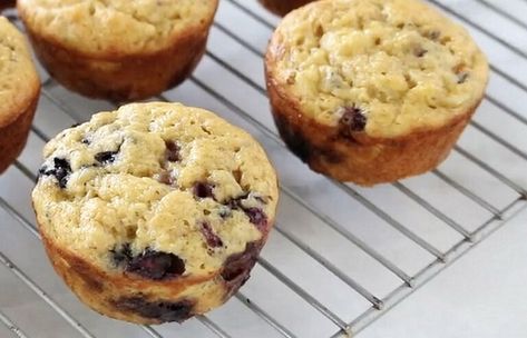 Miracle Muffins: Just One Weight Watchers Point Each! | Marie Bostwick Ww Corn Muffins, Kodiak Blueberry Muffins Weight Watchers, Weight Watchers Breakfast Muffins, Weight Watchers Blueberry Recipes, Ww Muffins Kodiak, One Point Muffins, Miracle Muffins Weight Watchers, Ww Blueberry Muffins 1 Point, Kodiak Cakes Muffins Weight Watchers