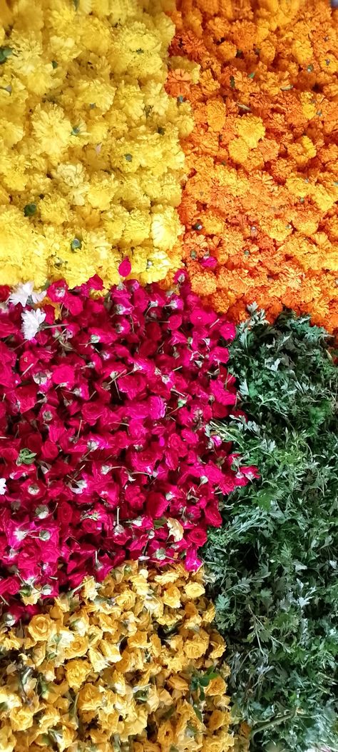 Onam flowers Happy Onam Aesthetic, Japandi Beds, Onam Flowers, Onam Aesthetic, Onam Pictures, Muharram Quotes, Happy Onam, It Girl Aesthetic, Flower Backgrounds