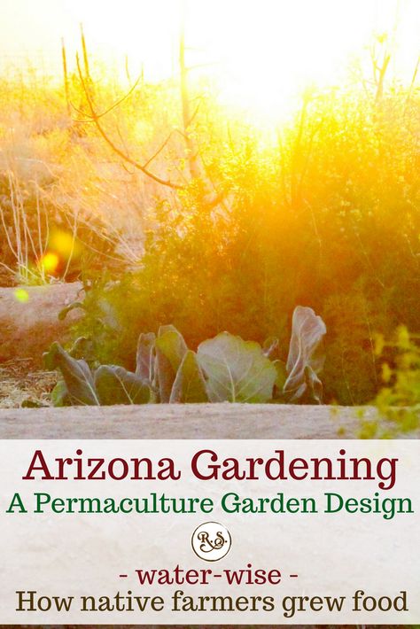 Arizona Permaculture, Arizona Food Forest, Desert Permaculture, Gardening In The Desert, Desert Gardening, Plan Potager Permaculture, Mandala Garden, Arizona Gardening, Desert Living