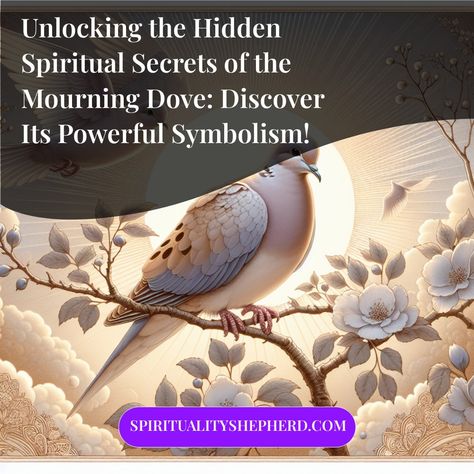 🌟 Discover the enchanting **spiritual meaning of the mourning dove**! 🕊️ This gentle bird is a powerful symbol of peace, love, and hope across various cultures. Its soothing coo carries messages from the universe, reminding us to embrace harmony and positivity. 

Curious about how this beautiful creature can uplift your spirit and guide your journey? 🚀✨ Tap into the wisdom of the mourning dove and unlock the secrets of its symbolism! 

🌼💖 Don't forget to **like** this post and **follow** our account for more enlightening insights! ✨ Dove Spiritual Meaning, Dove Meaning, Dove Symbolism, Native American Traditions, Symbol Of Peace, Divine Connections, Spiritual Cleansing, Spiritual Guides, Hope Symbol