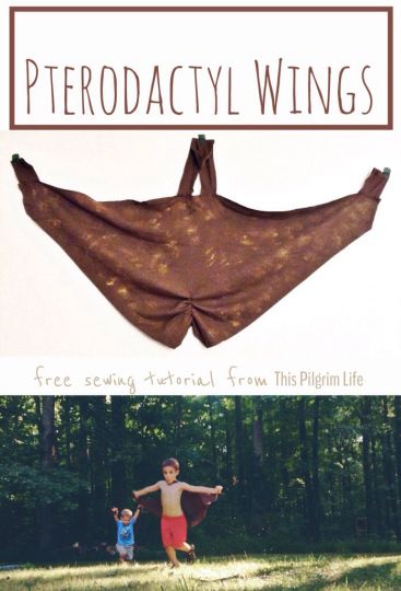 Pterodactyl Wings Tutorial Diy Pterodactyl Costume, Isabella Costume, Dinosaurs Crafts, Pterodactyl Costume, Austin Lee, Wings Tutorial, Pilgrim Life, Dinosaur Island, Ideas Birthday Party