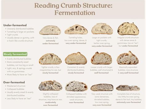 Sourdough Crumb, Easy Sourdough Bread Recipe, Bread Scoring, Sourdough Recipe, Sourdough Starter Discard Recipe, Discard Recipes, Homemade Sourdough Bread, Sourdough Starter Recipe, Bread Shaping