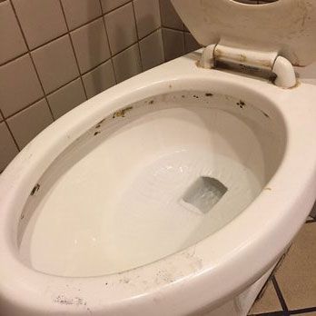 When you encounter black mold in your toilet, you have to know how to clean it. Mold can be in your bowl, tank or seat! Learn how to remove it! How To Paint Behind A Toilet, Clean Black Mold, Bathroom Mold Remover, Remove Black Mold, Toilet Bowl Stains, Pee Stains, Remove Mold, Clean Toilet, Black Mold