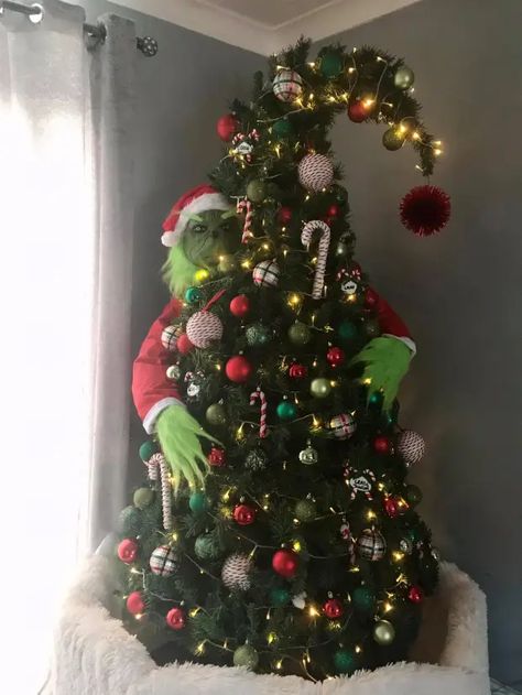 Grinch Christmas Tree Ideas Themed, Grinch Christmas Tree Topper, Grinch Trees, Grinch Christmas Party, Christmas Pickle, Grinch Christmas Tree, Christmas Background Images, Grinch Christmas Decorations, Christmas Memes