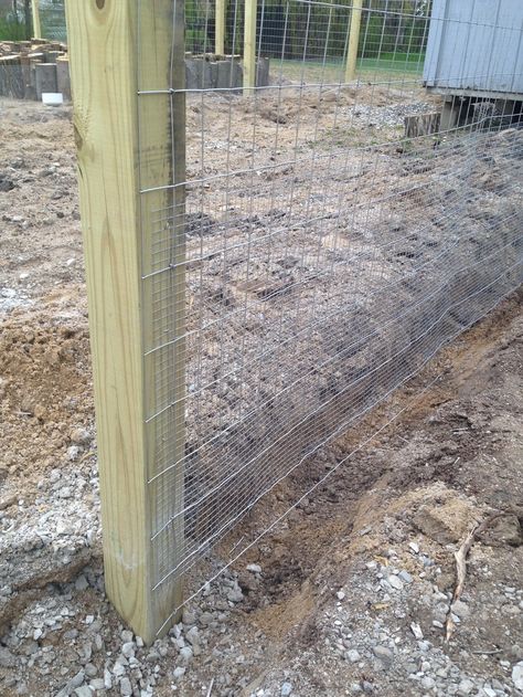 Garden Chicken Wire Fence, Snake Proof Fence, Garden Fence Ideas To Keep Deer Out, Using Cattle Panels In The Garden, Diy Garden Fence To Keep Dog Out, Garden Fencing To Keep Animals Out, Guard Rail Cattle Fence, Fence To Keep Deer Out Of Garden, Chicken Wire Fence