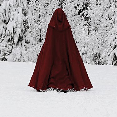 Red Cloak Aesthetic, Cloak Aesthetic, Scorpio Planet, Red Queen Characters, Wilted Rose, Mother Gothel, Red Cloak, Red Like Roses, Punk Makeup