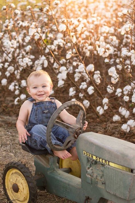 John Deere pedal tractor cotton field sunset toddler boy Kayla Paulk Photography One Year Old Tractor Pictures, Farmer Newborn Pictures, 1st Birthday Tractor Pictures, One Year Old Farm Photo Shoot, Kane Parker, Cotton Photoshoot, Cotton Field Photoshoot, Cotton Field Photography, John Deere Pictures