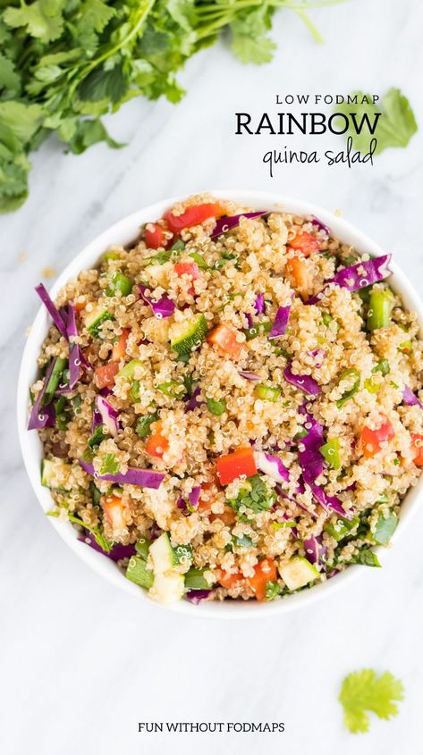 Eat the rainbow with this Low FODMAP Rainbow Quinoa Salad. It's filled with whole-grain quinoa, fresh veggies and a delicious Asian-inspired dressing. | more easy low FODMAP recipes at funwithoutfodmaps.com | #lowfodmap #plantbased #grainbowl #quinoa #glutenfree #dairyfree Fodmap Salad, Rainbow Quinoa Salad, Easy Low Fodmap Recipes, Fodmap Meals, Easy Low Fodmap, Fod Map, Fodmap Lunch, Fodmap Recipes Dinner, Low Fodmap Recipes Dinner