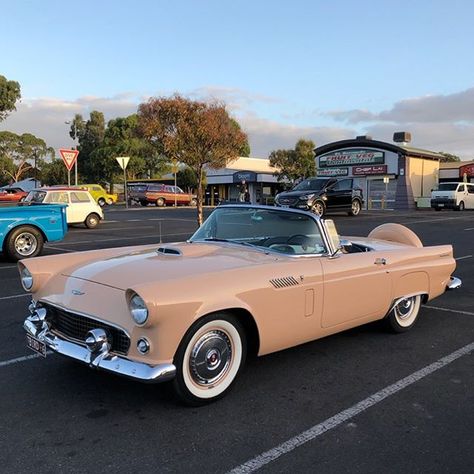 1956 Ford Thunderbird #56thunderbird #classicthunderbird 56 Ford Thunderbird, 1956 Ford Thunderbird Convertible, 1962 Ford Thunderbird, 1955 Ford Thunderbird, 1960 Cars, 1963 Thunderbird, 1955 Thunderbird, Ford Thunderbird 1955, Thunderbird Car