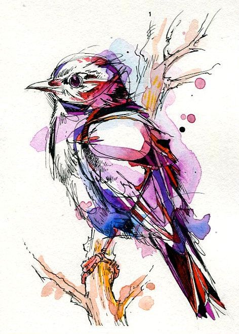 Drawing Faces, Desenho Tattoo, 수채화 그림, Art Et Illustration, Arte Animal, Watercolor Bird, Little Bird, Art Watercolor, A Drawing