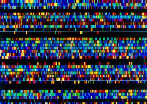 Dna Facts, Genome Sequencing, Rare Genetic Disorders, Scanning Electron Micrograph, Tissue Types, Dna Sequence, Human Genome, Human Dna, Teaching Biology