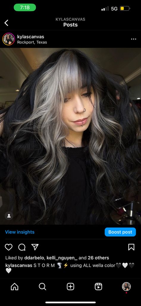 silver hair black hair color blocking Black And Silver Hair With Bangs, Black Hair With Silver Money Piece, Silver Money Piece, Pink Hair Black Hair, Hair With Black Highlights, Silver And Black Hair, Black Hair With Grey Highlights, Hair Color Blocking, Coloured Hair Ideas