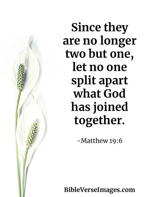 Verse About Marriage, Bible Verse About Marriage, Matthew 19 6, Marriage Verses, Romans 12 10, Marriage Bible Verses, Book Of Matthew, New American Standard Bible, Harsh Words