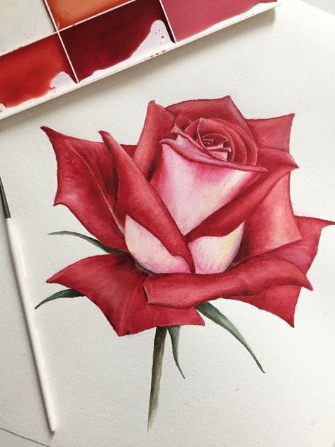 Rose Drawing Tattoo, Flower Painting On Canvas, Colored Pencil Artwork, Flower Art Drawing, Rose Drawing, Roses Drawing, Watercolor Flower Art, 수채화 그림, Watercolor Art Lessons