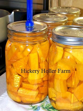 Canning Butternut Squash, Canning Squash, Fermenting Recipes, Homestead Cooking, Food Canning, Preserving Recipes, Pressure Canning Recipes, Canning 101, Canning Fruit