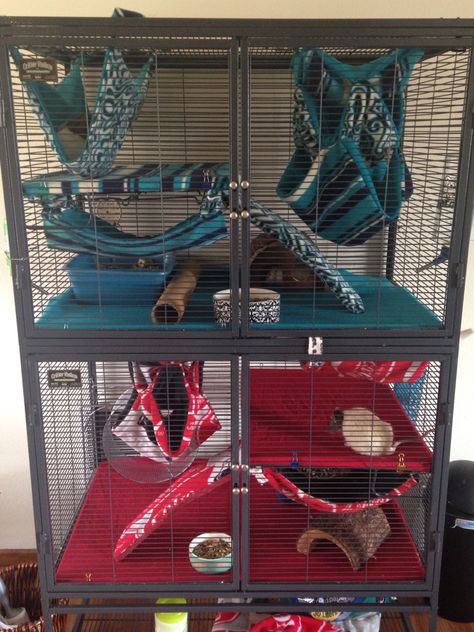 My critter nation cage. Rat cage idea Diy rat hammocks Rat Homes Ideas, Cute Rat Cage Setup, Rat Cage Diy, Aesthetic Rat Cage, Cool Rat Cages, Diy Rat Cage Accessories Toys, Ferret Diy, Pet Rat Cages, Critter Nation Cage