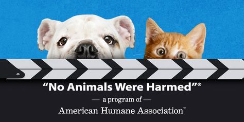 The Horrific True Story Behind the ‘No Animals Were Harmed’ Disclaimer Check more at https://top10movies.ml/the-horrific-true-story-behind-the-no-animals-were-harmed-disclaimer/ True Story, True Stories, Animals