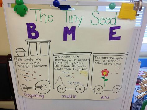 I Took A Nap, Beginning Middle End, Kindergarten Anchor Charts, Doodle Bugs, The Tiny Seed, Transportation Preschool, Author Study, Classroom Anchor Charts, Reading Anchor Charts