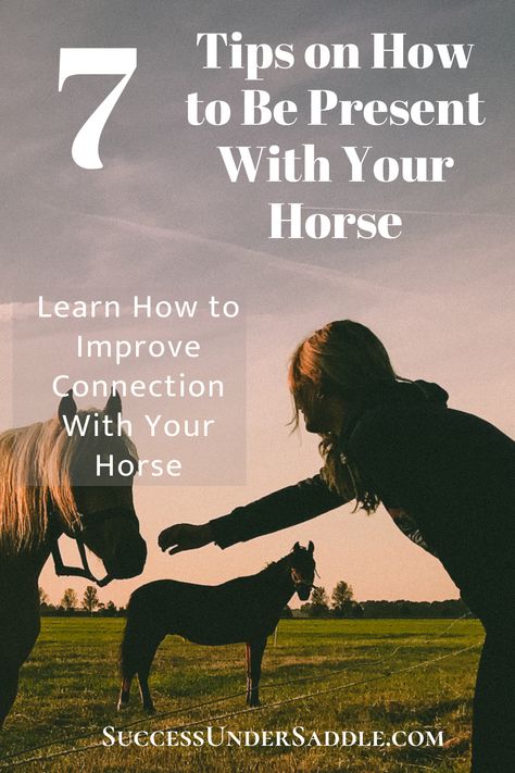 Being Present In The Moment, Horse Ownership, Horseback Riding Tips, Buy A Horse, Horse Information, Present In The Moment, Riding Tips, Improve Your Relationship, Horse And Human