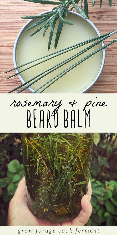 Learn how to make this DIY rosemary pine beard balm for that bearded man in your life! This is a terrific homemade beauty product for men made with all natural ingredients including a homemade infused oil, beeswax, shea butter, and essential oils. Beard balm helps to condition, soften and style beards, plus this rosemary pine recipe smells amazing! It's the perfect gift for the bearded man in your life. #beardbalm #essentialoils #infused oil #beauty #beard #bearded man Beard Balm Recipe, Diy Beard, Balm Recipe, Salve Recipes, Herbal Salves, Infused Oil, Diy Kosmetik, Herbal Recipes, Homemade Beauty