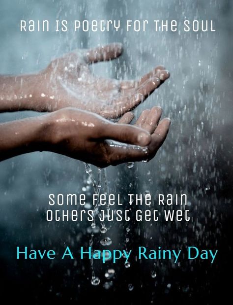 Rainy Day Good Morning Quotes, Thursday Rainy Day Quotes, Rainy Afternoon Quotes, Good Afternoon Rainy Day, Rainy Saturday Quotes, Rainy Thursday Quotes Good Morning, Rainy Monday Quotes, Rainy Thursday Mornings, Rainy Saturday Morning Quotes