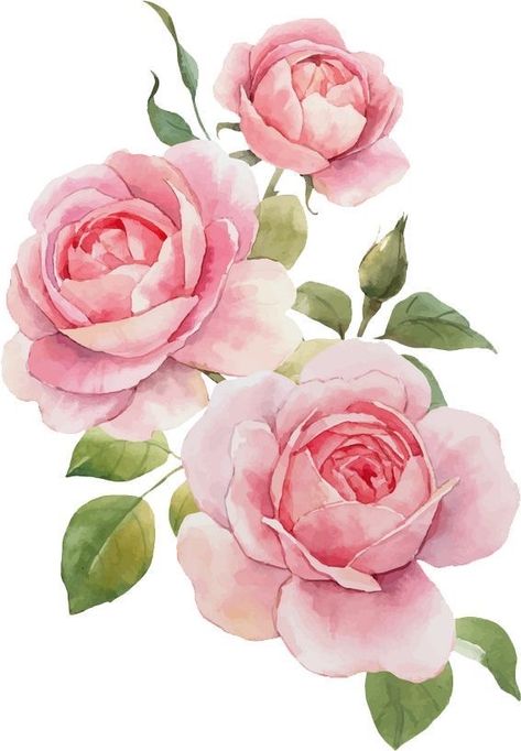 الفن الرقمي, Botanical Flower Art, Flower Art Drawing, Soyut Sanat Tabloları, Floral Drawing, Watercolor Flower Art, 수채화 그림, Flower Art Images, Flower Art Painting