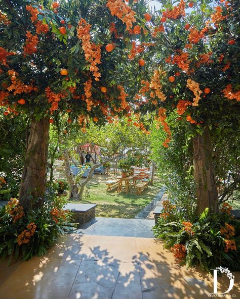 Devika Narain, Udaipur, Insta Wedding, Beautiful Landscapes, A Garden, Indian Wedding, A Year, Lake, Weddings